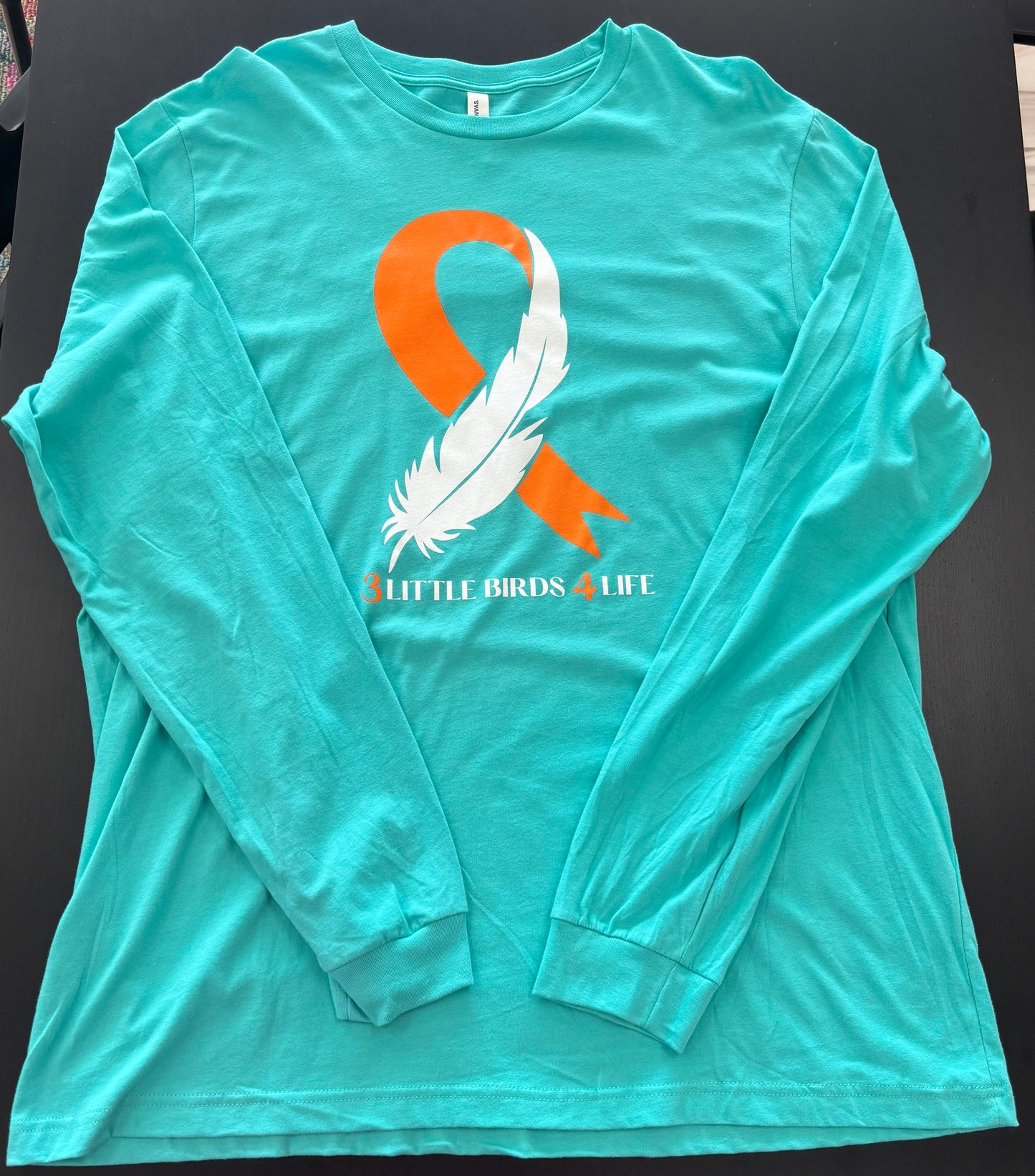 Long Sleeve Shirt - Original Feather Logo - Teal Only